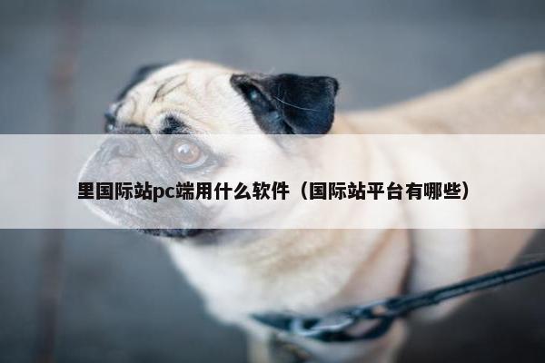 里国际站pc端用什么软件（国际站平台有哪些）