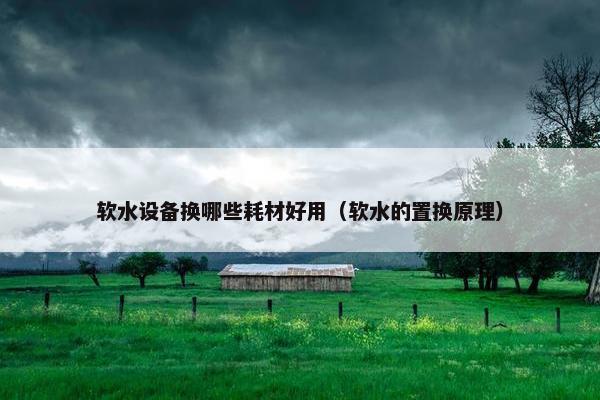 软水设备换哪些耗材好用（软水的置换原理）