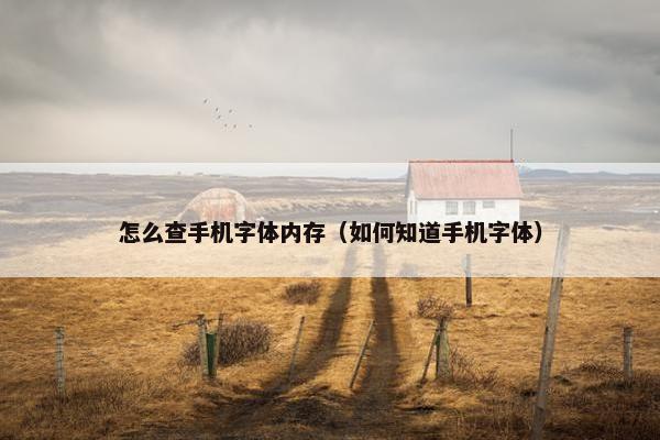 怎么查手机字体内存（如何知道手机字体）