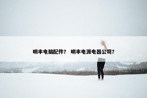 明丰电脑配件？ 明丰电源电器公司？