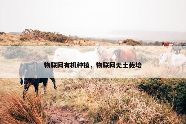 物联网有机种植，物联网无土栽培