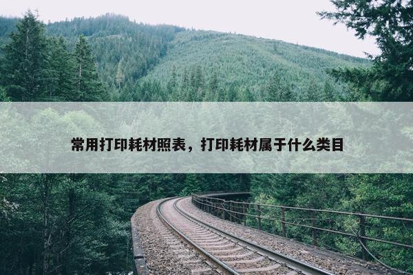常用打印耗材照表，打印耗材属于什么类目