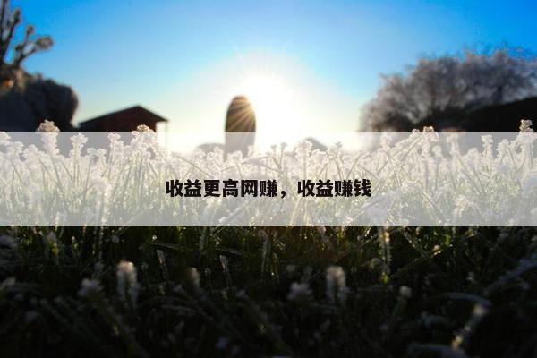 收益更高网赚，收益赚钱