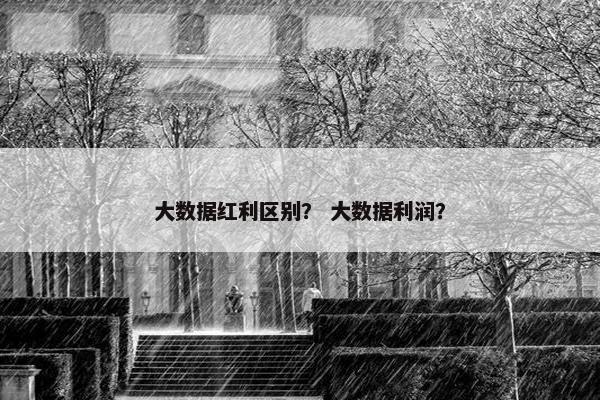 大数据红利区别？ 大数据利润？
