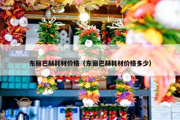东丽巴赫耗材价格（东丽巴赫耗材价格多少）