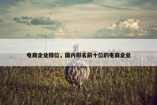 电商企业排位，国内排名前十位的电商企业