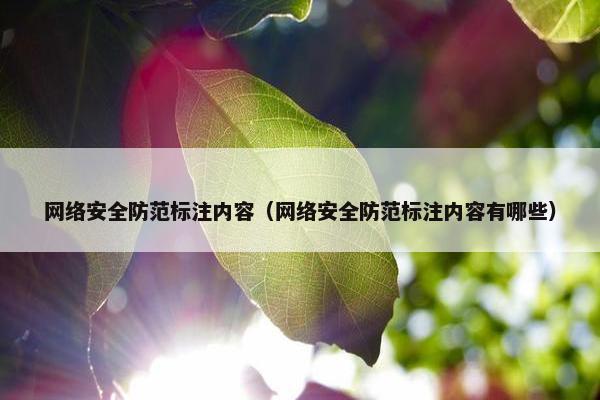 网络安全防范标注内容（网络安全防范标注内容有哪些）