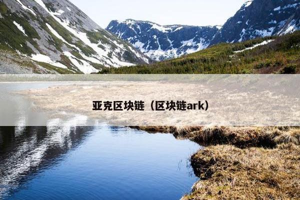 亚克区块链（区块链ark）
