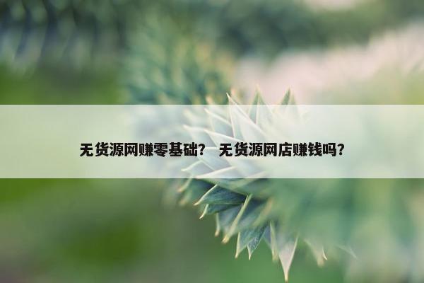 无货源网赚零基础？ 无货源网店赚钱吗？
