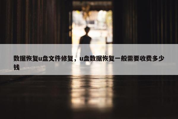 数据恢复u盘文件修复，u盘数据恢复一般需要收费多少钱
