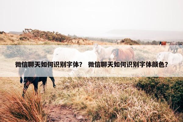 微信聊天如何识别字体？ 微信聊天如何识别字体颜色？