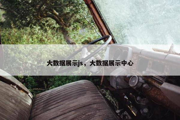 大数据展示js，大数据展示中心