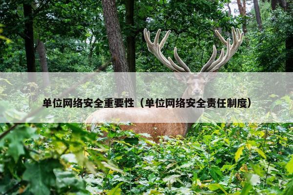 单位网络安全重要性（单位网络安全责任制度）