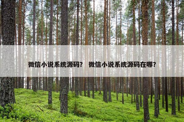 微信小说系统源码？ 微信小说系统源码在哪？