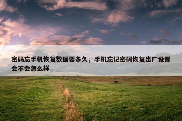 密码忘手机恢复数据要多久，手机忘记密码恢复出厂设置会不会怎么样