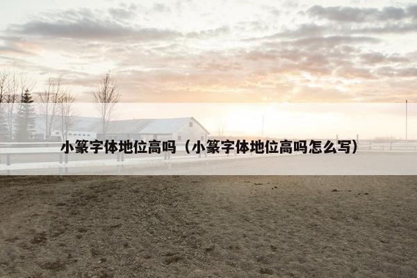 小篆字体地位高吗（小篆字体地位高吗怎么写）