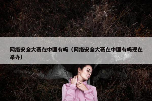 网络安全大赛在中国有吗（网络安全大赛在中国有吗现在举办）