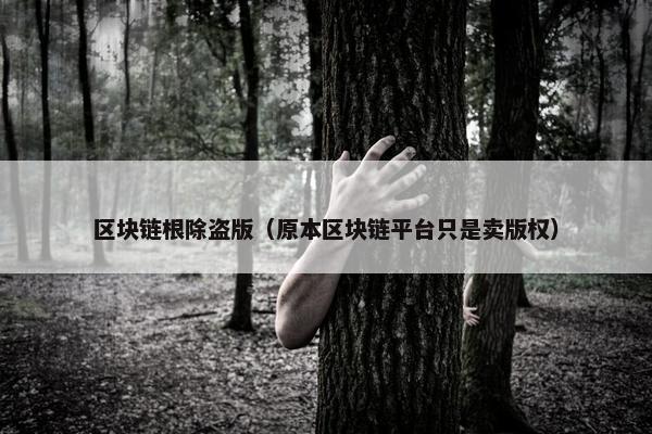 区块链根除盗版（原本区块链平台只是卖版权）