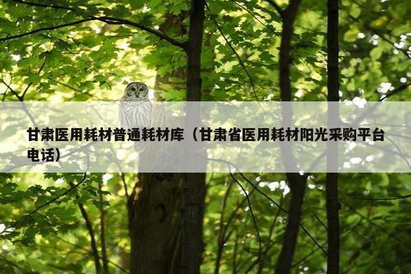 甘肃医用耗材普通耗材库（甘肃省医用耗材阳光采购平台电话）