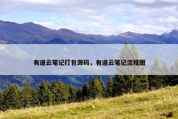 有道云笔记打包源码，有道云笔记流程图