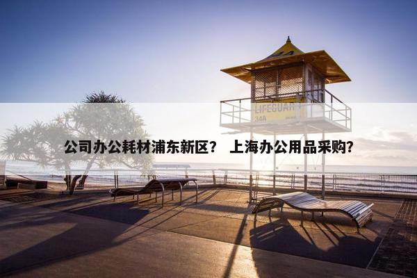 公司办公耗材浦东新区？ 上海办公用品采购？
