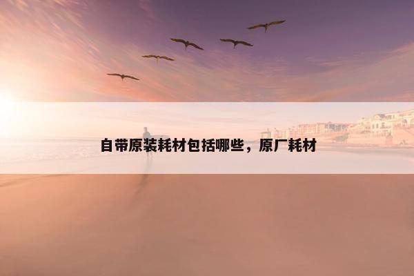自带原装耗材包括哪些，原厂耗材