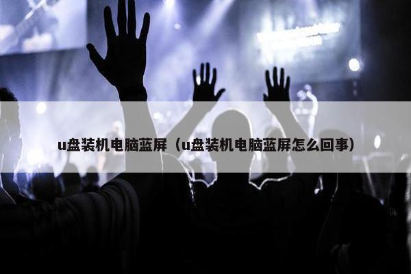 u盘装机电脑蓝屏（u盘装机电脑蓝屏怎么回事）
