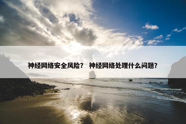 神经网络安全风险？ 神经网络处理什么问题？