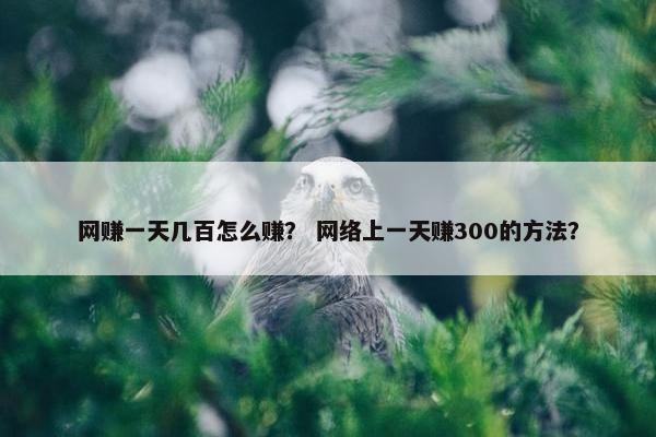 网赚一天几百怎么赚？ 网络上一天赚300的方法？