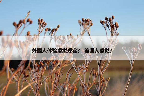 外国人体验虚拟现实？ 美国人虚拟？