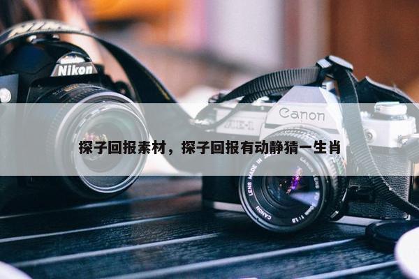探子回报素材，探子回报有动静猜一生肖