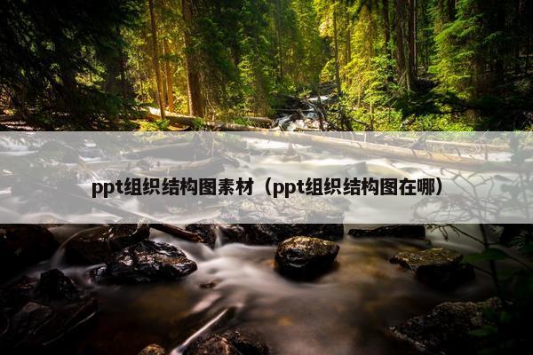 ppt组织结构图素材（ppt组织结构图在哪）