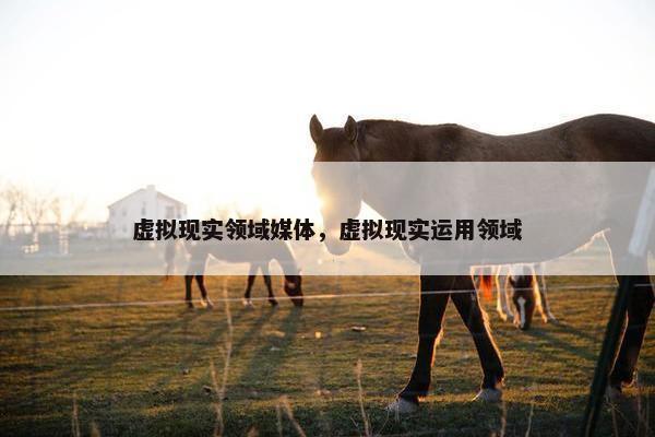 虚拟现实领域媒体，虚拟现实运用领域