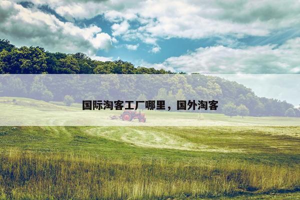 国际淘客工厂哪里，国外淘客