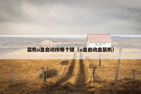 装机u盘启动按哪个键（u盘启动盘装机）