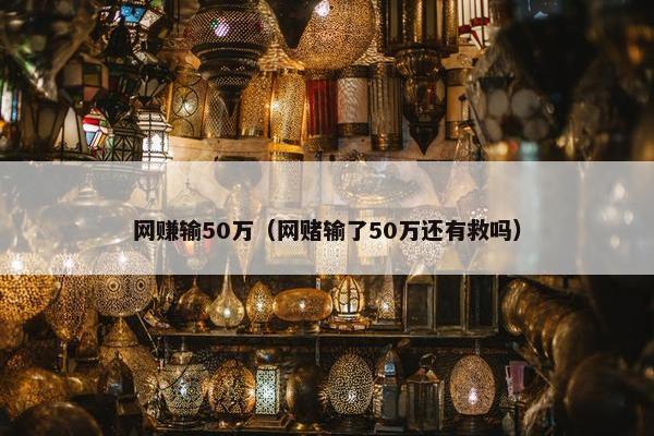 网赚输50万（网赌输了50万还有救吗）