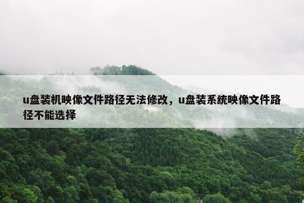 u盘装机映像文件路径无法修改，u盘装系统映像文件路径不能选择