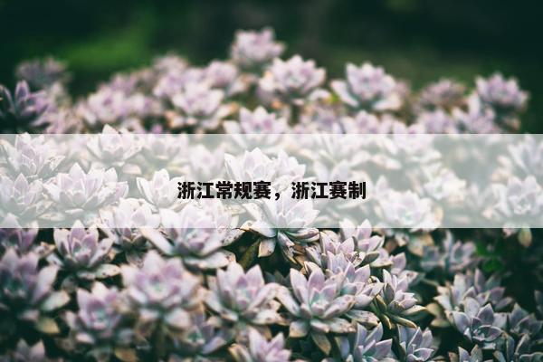 浙江常规赛，浙江赛制