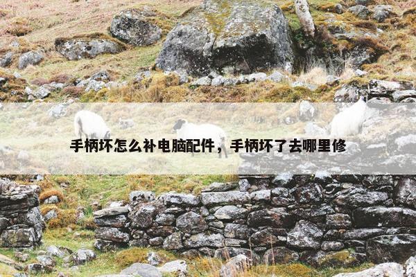 手柄坏怎么补电脑配件，手柄坏了去哪里修