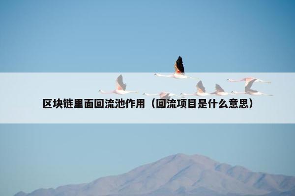 区块链里面回流池作用（回流项目是什么意思）