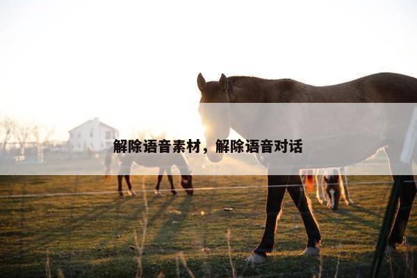 解除语音素材，解除语音对话