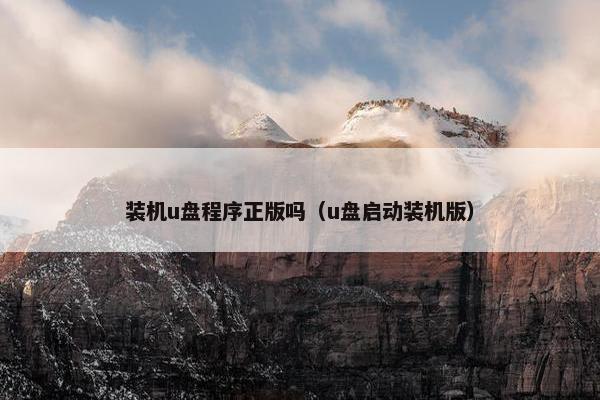 装机u盘程序正版吗（u盘启动装机版）