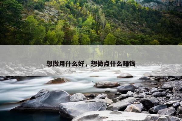 想做用什么好，想做点什么赚钱