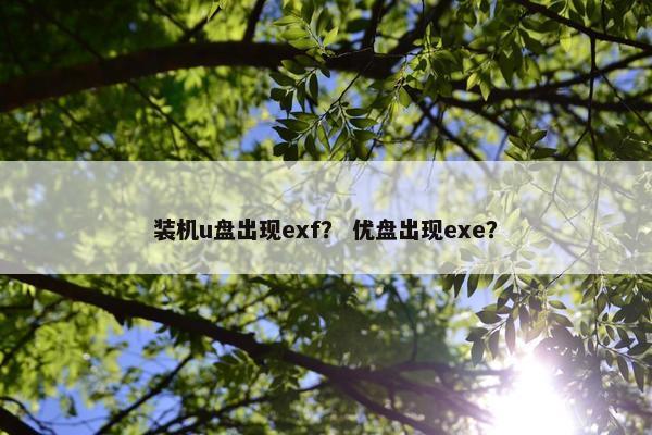 装机u盘出现exf？ 优盘出现exe？