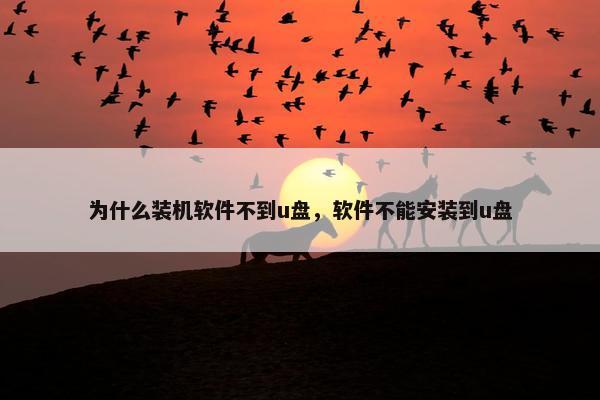 为什么装机软件不到u盘，软件不能安装到u盘