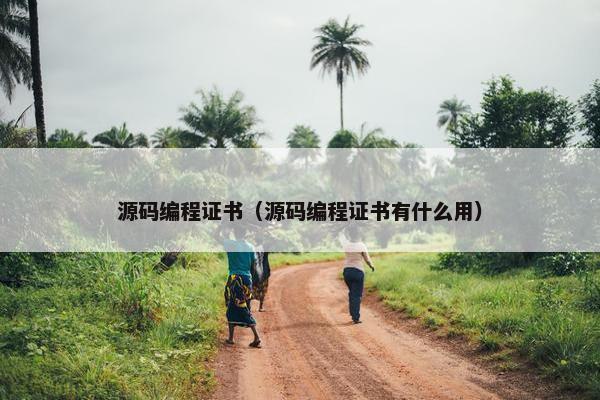 源码编程证书（源码编程证书有什么用）