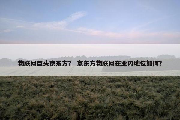 物联网巨头京东方？ 京东方物联网在业内地位如何？