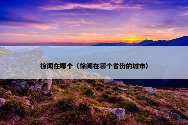 徐闻在哪个（徐闻在哪个省份的城市）