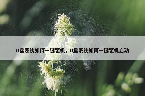 u盘系统如何一键装机，u盘系统如何一键装机启动