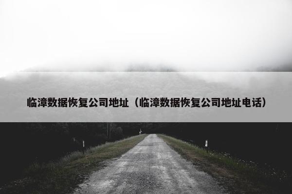 临漳数据恢复公司地址（临漳数据恢复公司地址电话）